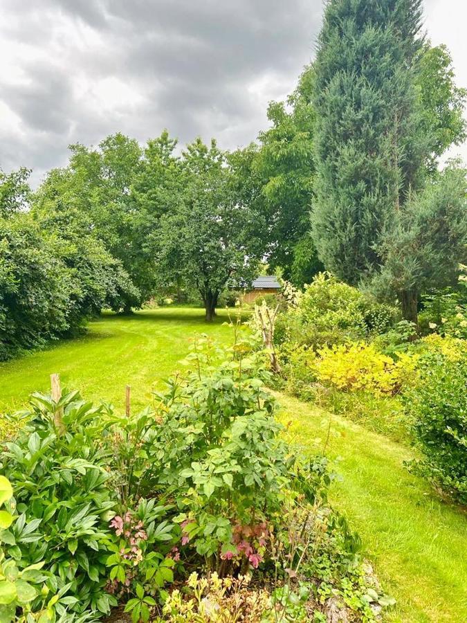 Golebi Puch - Przytulny Apartament Na Wylacznosc Bad Kudowa Exterior foto